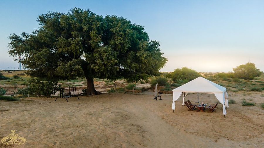 Sunrise at Jadam Resort - desert tree and tents Jaisalmer